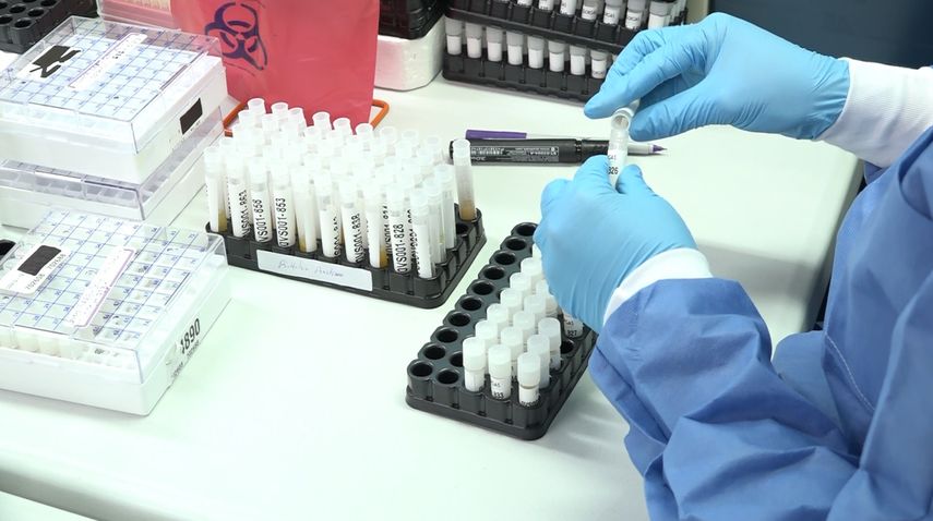 La subvariante BA.5 de ómicron, se ha detectado en al menos 22 países de las Américas y es probable que se vuelva predominante, según la OPS.