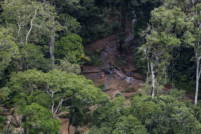 Oro en el Darién: el complejo sistema ilícito del Clan del Golfo que Panamá quiere romper