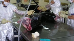 CNPA pide que sectores involucrados estén en mesa de diálogo