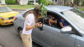 Plantones para conmemorar el Día Mundial del Medio Ambiente