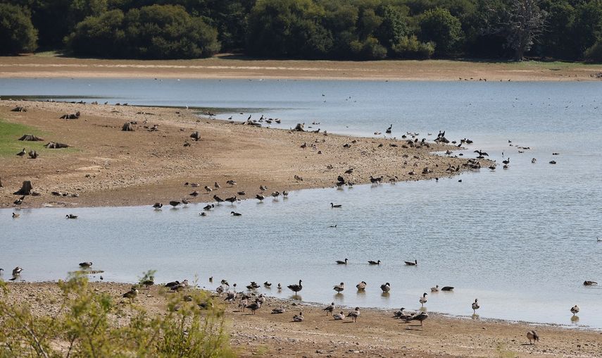 El gobierno británico declaró el estado de sequía en buena parte de Inglaterra, golpeada por una ola de calor que azota igualmente a buena parte de Europa.