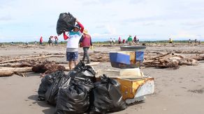 Zuleima Madrid, del departamento de Costas y Mares del MiAmbiente explicó que las jornadas se realizaron en playas de los distritos de Barú, San Félix, San Lorenzo, Remedios y Alanje.