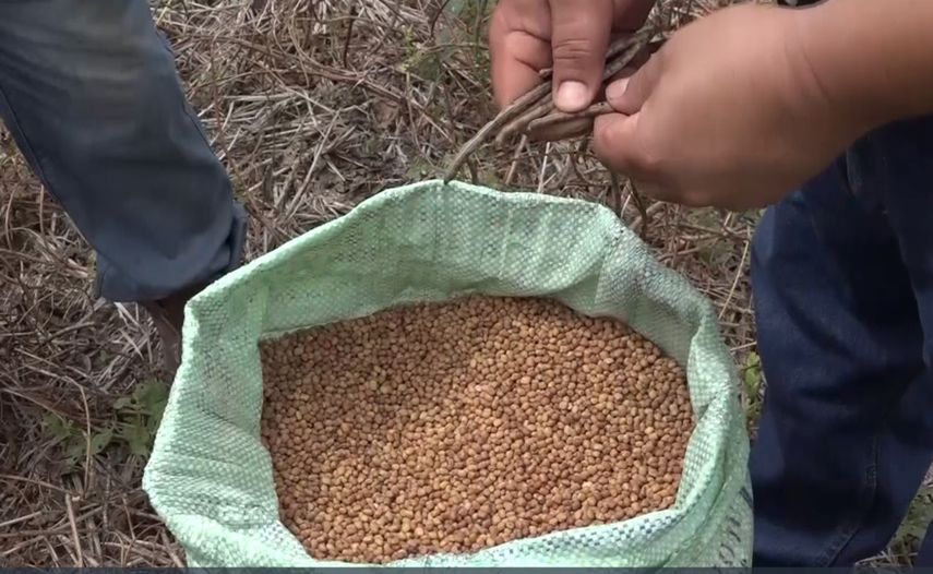 El IMA realizó la compra en febrero de 2022.