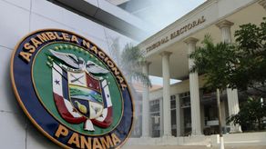 Artículos polémicos en Reformas Electorales encienden alarmas. Conoce cuáles son
