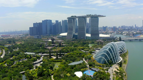 Desarrollo del talento dará paso a una mayor competitividad