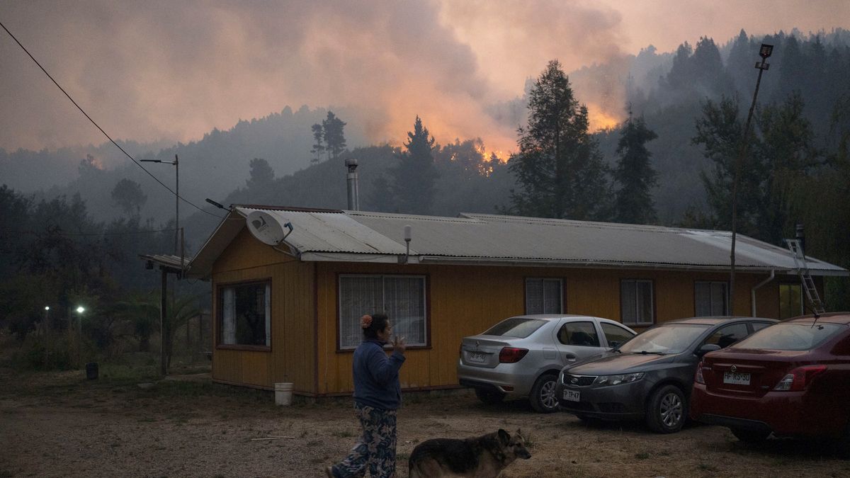 El ministro de Interior de Chile, Álvaro Elizalde, confirmó la noche del lunes que ascendió a 20 el número de víctimas de los fuegos forestales que queman desde el sábado en las regiones sureñas de Ñuble y Biobío. El ministro de Interior de Chile, Álvaro Elizalde, confirmó la noche del lunes que ascendió a 20 el número de víctimas de los fuegos forestales que queman desde el sábado en las regiones sureñas de Ñuble y Biobío.