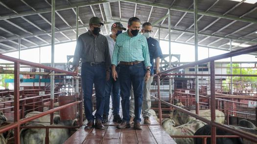 Gobierno entregó beneficios por más de B/.2 millones a Tierras Altas
