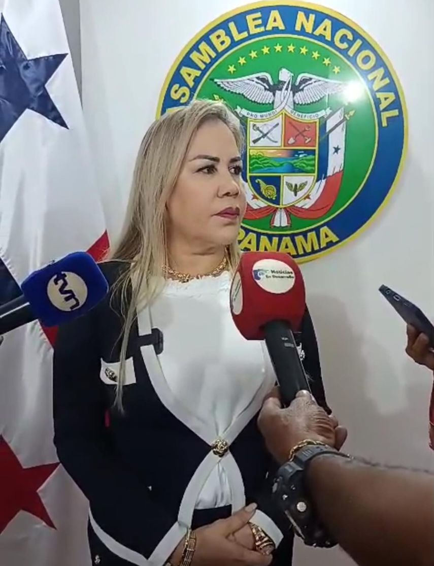 La diputada oficialista, Shirley Castañeda presentó iniciativa en la Asamblea Nacional. La diputada oficialista, Shirley Castañeda presentó iniciativa en la Asamblea Nacional.