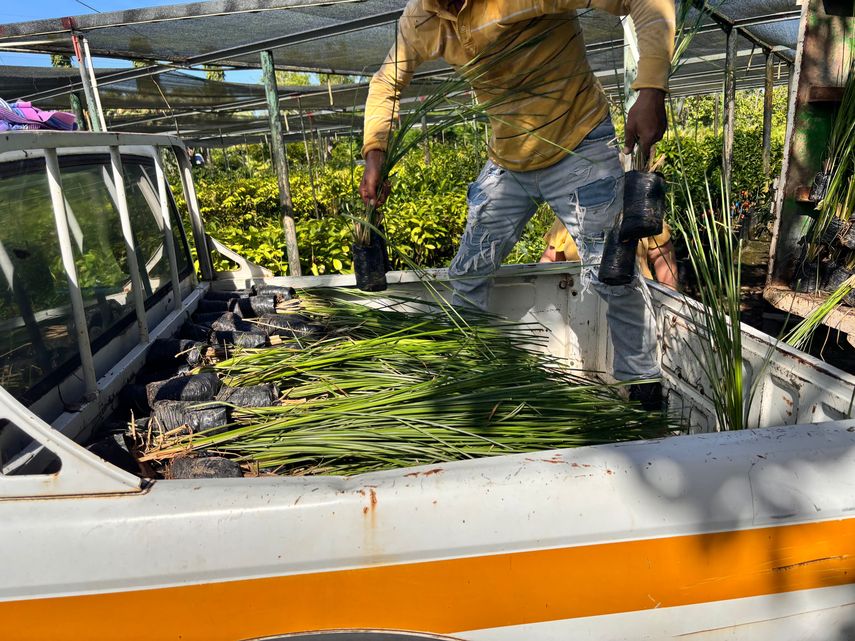 El Ministerio de Ambiente (MiAMBIENTE), a través de la Dirección de Seguridad Hídrica y su Departamento de Conservación de Suelos, realizó la entrega de insumos a productores de cuencas prioritarias del país. El Ministerio de Ambiente (MiAMBIENTE), a través de la Dirección de Seguridad Hídrica y su Departamento de Conservación de Suelos, realizó la entrega de insumos a productores de cuencas prioritarias del país.