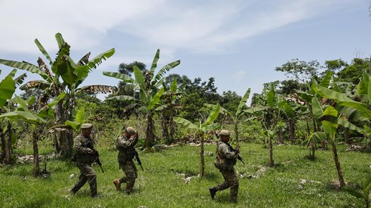 Cerca del Puesto Binacional de Alto Limón, en los límites de la frontera colombo-panameña de la espesa selva del Darién, se extienden unas 500 hectáreas de siembra de coca en territorio de Colombia. Militares colombianos trabajan en su erradicación mientras policías de Panamá los resguardan frente a un eventual ataque de grupos armados. Cerca del Puesto Binacional de Alto Limón, en los límites de la frontera colombo-panameña de la espesa selva del Darién, se extienden unas 500 hectáreas de siembra de coca en territorio de Colombia. Militares colombianos trabajan en su erradicación mientras policías de Panamá los resguardan frente a un eventual ataque de grupos armados.