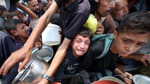 La ayuda alimentaria se descompone bajo el sol mientras la hambruna persiste en Gaza