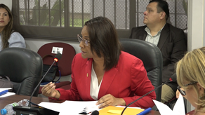 Ministerio de la Mujer se queda con cero centavos para inversiones en 2026