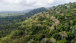 Panamá da pasos para acceder a financiamiento climático de Naciones Unidas