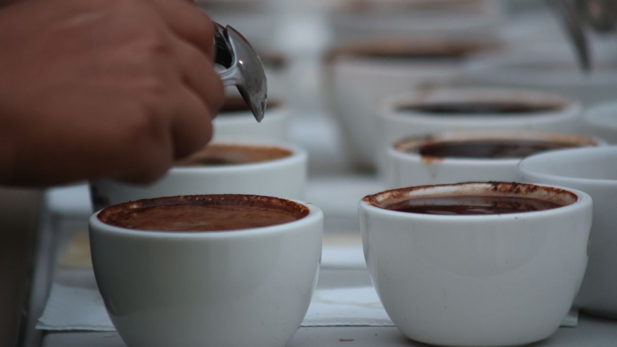 Los inscritos son jóvenes apasionados por la preparación del café, proceden de la ciudad de Panamá y de las regiones cafetaleras de Chiriquí, principalmente Boquete.