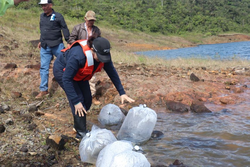 El subadministrador de la ARAP