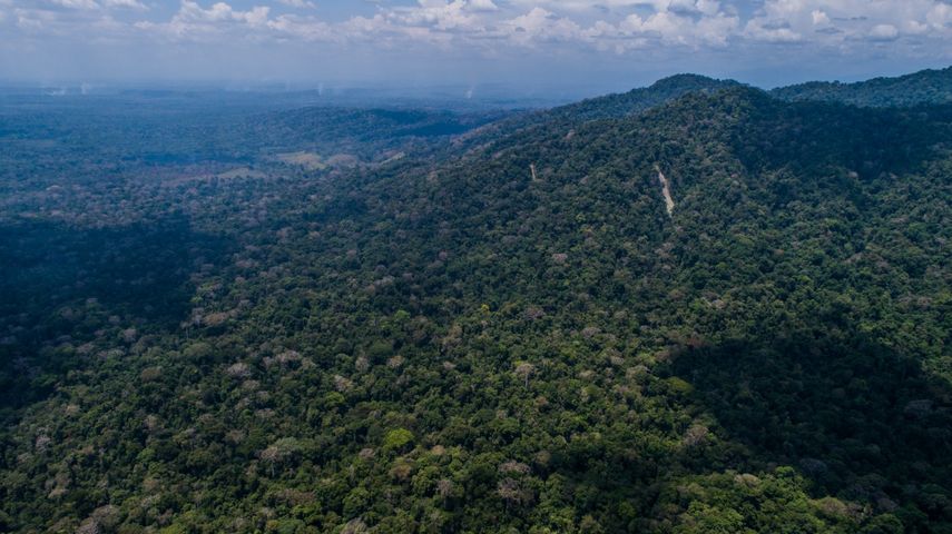En medio de patrullajes fluviales, saludos de guardaparques desde puntos remotos y una renovada infraestructura operativa, el Parque Nacional Darién conmemora sus 45 años como uno de los emblemas de la biodiversidad panameña y la lucha contra los delitos ambientales. En medio de patrullajes fluviales, saludos de guardaparques desde puntos remotos y una renovada infraestructura operativa, el Parque Nacional Darién conmemora sus 45 años como uno de los emblemas de la biodiversidad panameña y la lucha contra los delitos ambientales.