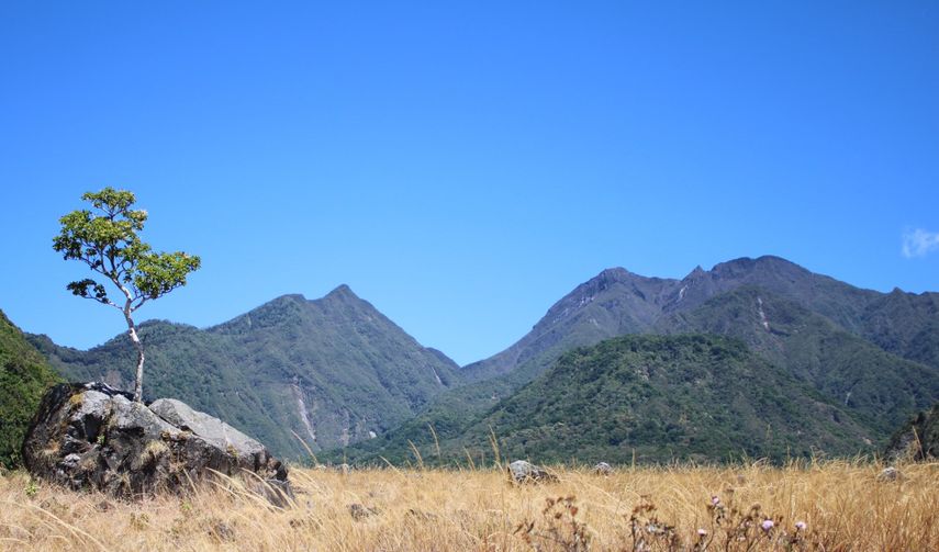 Chiriquí: Aumenta cantidad de visitantes a áreas protegidas
