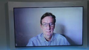 Sáez Llorens: Parece que cuarentena está achatando pico de casos de Covid-19