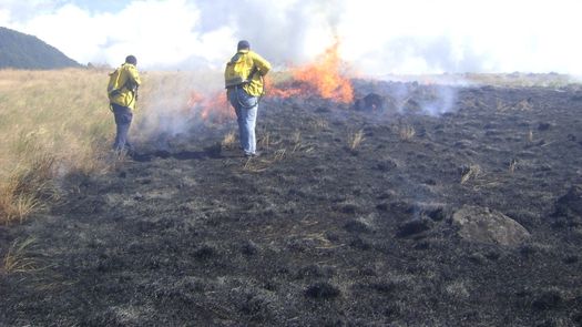 Disminuyen incendios de masa vegetal en Chiriquí