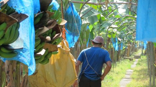 Gobierno destinará 10 millones de dólares por Estado de Emergencia en Bocas del Toro