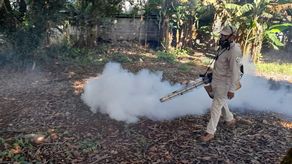 El año pasado la provincia de Chiriquí registró 233 casos de dengue clásico. &nbsp;