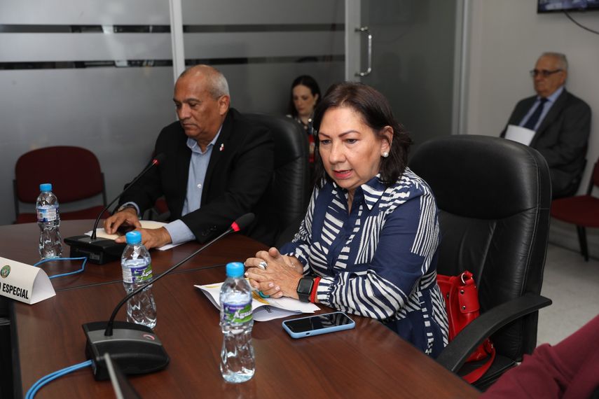La especialista Luz Graciela de Calzadilla, estuvo en la sesión representando al Instituto de Meteorología y Hidrología de Panamá (IMHPA). La especialista Luz Graciela de Calzadilla, estuvo en la sesión representando al Instituto de Meteorología y Hidrología de Panamá (IMHPA).