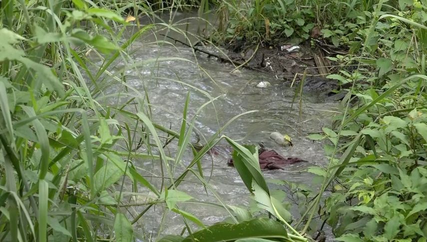 Los activistas señalan que el problema no solo se registra en David