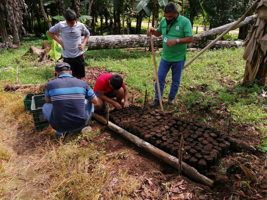MiAmbiente promueve vivero forestal en Renacimiento