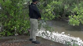 SINAPROC pide no asistir a playas ni ríos por mal tiempo