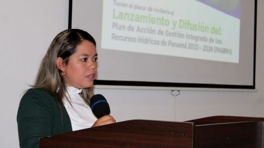 El proyecto presentado en Chiriquí es liderado por MiAMBIENTE, con la colaboración técnica y financiera del Programa de las Naciones Unidas para el Medio Ambiente (PNUMA), que implementa Global Water Partnership en Centroamérica (GWP CAM).