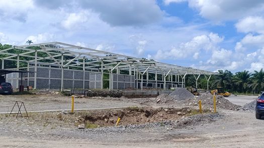 Paso Canoas alcanza 32 % de avance: obra clave para el comercio entre Panamá y Costa Rica