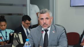 Presentan denuncia contra exministro Sabonge por desaparición de vigas