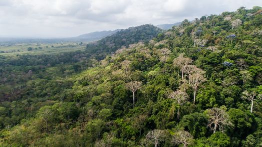 Panamá confirma su ambición climática con un informe enmarcado en el Acuerdo de París
