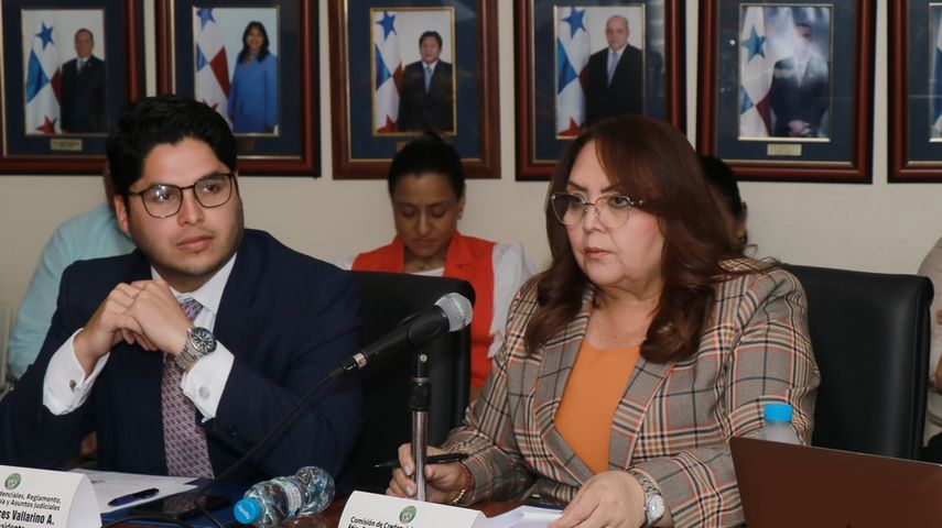 La diputada Dana Castañeda preside la Comisión de Credenciales de la Asamblea Nacional. La diputada Dana Castañeda preside la Comisión de Credenciales de la Asamblea Nacional.