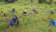 Con una iniciativa de MiAmbiente, se sembraron más de 4 mil plantones de árboles maderables, frutales, ornamentales y de protección de fuentes hídricas en Bugaba, Tierras Altas, Barú, San Félix y Boquete.  