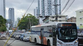 MiBus moviliza más de 11.5 millones de pasajeros en enero 2026 y supera cifras del año pasado