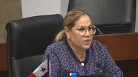 Diputada de RM, Shirley Castañeda. Diputada de RM, Shirley Castañeda.