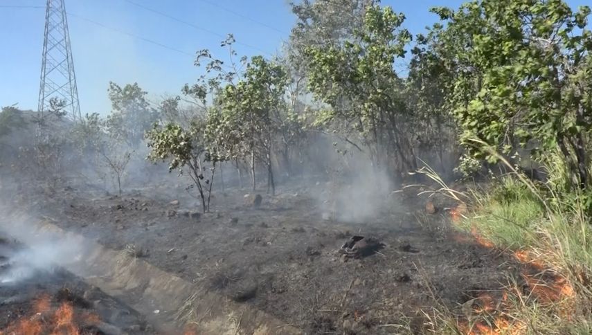 Incendios de masa vegetal dejan afectaciones en Chiriquí