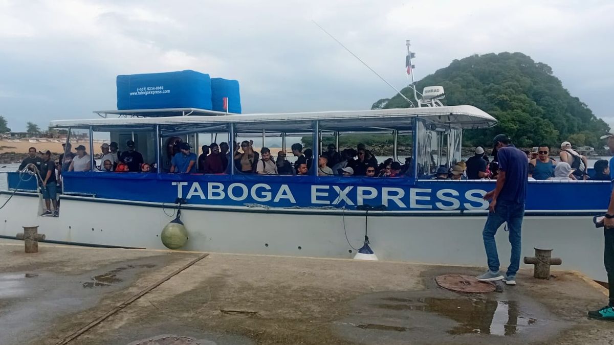 La AMP ha reforzado la vigilancia y ha dispuesto 134 inspectores en más de 20 puertos autorizados. La AMP ha reforzado la vigilancia y ha dispuesto 134 inspectores en más de 20 puertos autorizados.