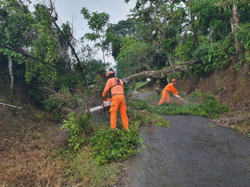 SINAPROC: Aviso De Prevención Por Vientos Hasta 19 De Enero