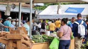 IMA realiza agroferias en 7 regiones del país