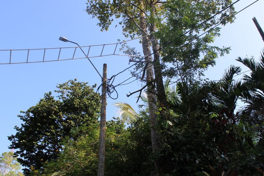 El Ministerio de Ambiente (MiAMBIENTE) se encuentra elaborando una guía técnica para la implementación de pasos seguros de fauna en proyectos viales que atraviesan zonas naturales del país. El Ministerio de Ambiente (MiAMBIENTE) se encuentra elaborando una guía técnica para la implementación de pasos seguros de fauna en proyectos viales que atraviesan zonas naturales del país.