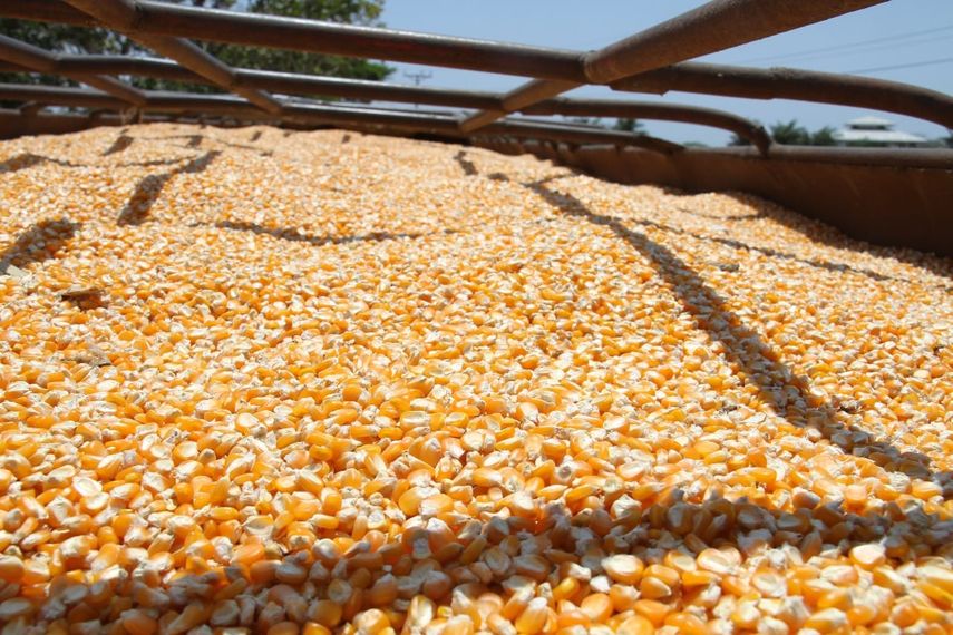 El ministro del MIDA solicitó agilizar los trámites que pronto se termine de pagar a los productores los incentivos del ciclo agrícola 2022-2023. El ministro del MIDA solicitó agilizar los trámites que pronto se termine de pagar a los productores los incentivos del ciclo agrícola 2022-2023.