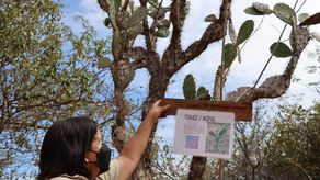 Códigos QR para identificar flora existente en el Parque Nacional Sarigua