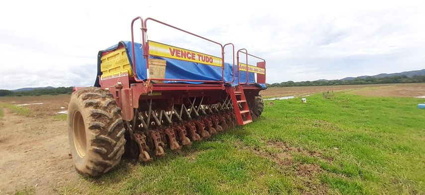 Más de 90 mil hectáreas de arroz se tienen proyectadas cultivar en Panamá durante el ciclo agrícola 2022-2023, dio a conocer el MIDA.