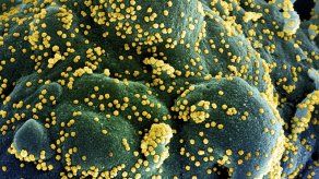 Tratamiento de farmacéutica Lilly reduce contagios y muertes por covid-19