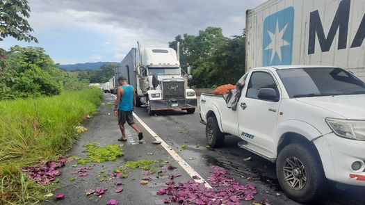 Transportistas que viajan desde Chiriquí han tenido que desechar sus productos agrícolas debido al cierre en la vía interamericana.