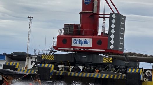 Gobierno instalará mesa técnica para reactivar actividad bananera con Chiquita Gobierno instalará mesa técnica para reactivar actividad bananera con Chiquita