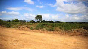 Impulsan construcción de viviendas de interés social en Panamá Este