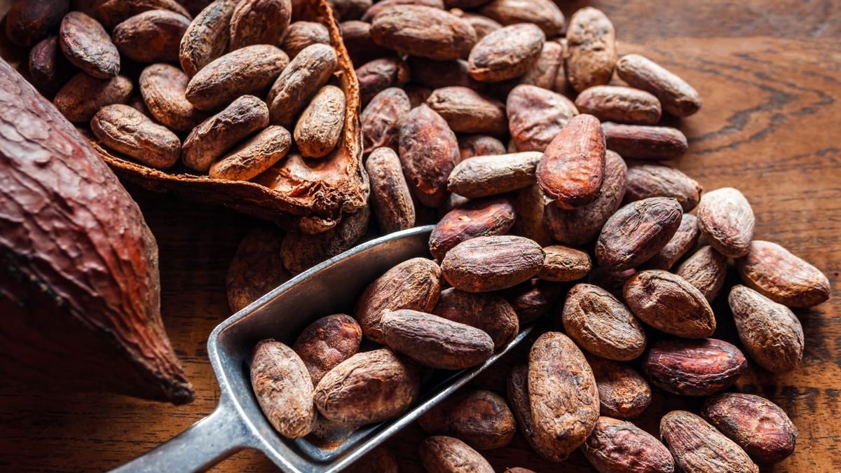 Cacao: Oro en Ecuador y blanco del crimen organizado